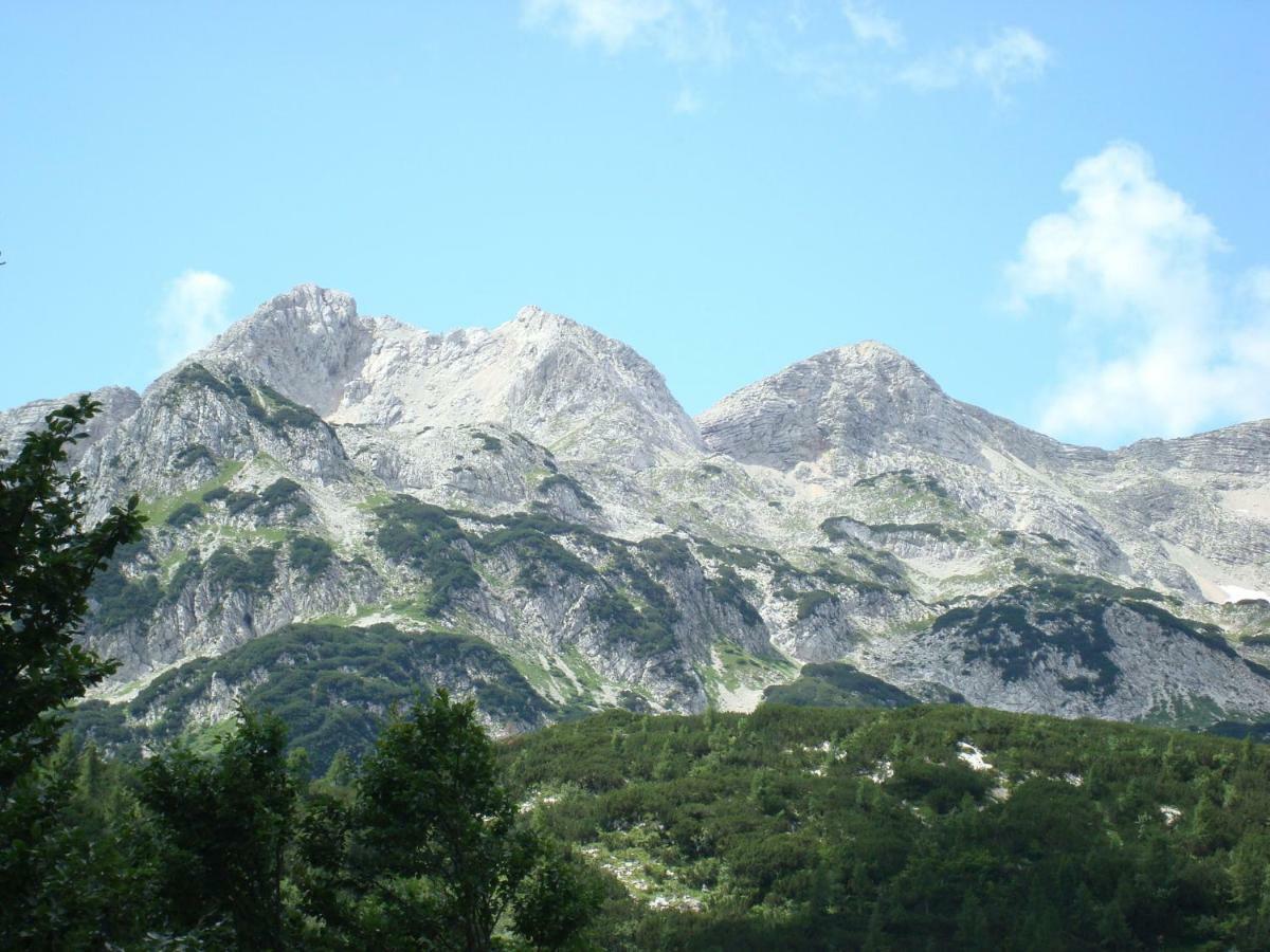 Apartment Amazing View Bohinj Exterior foto